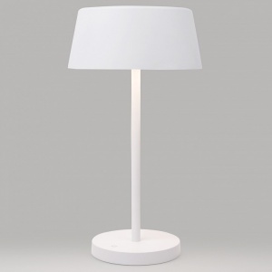 Настольная лампа декоративная Eurosvet Apollo 80424/1 белый