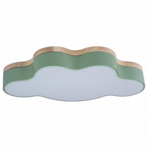 Накладной светильник Loft it Axel 4 10005/30 Green