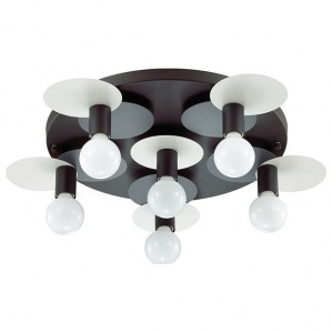 Потолочная люстра Lumion Aloy 3783/6C