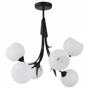 Люстра на штанге Lussole Bagheria LSF-6293-06