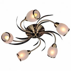 Потолочная люстра Omnilux Auxois OML-35827-05