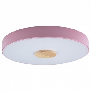 Накладной светильник Loft it Axel 2 10003/24 Pink