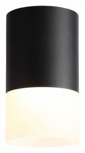 Накладной светильник ST-Luce Ottu ST100.402.05