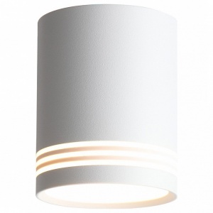 Накладной светильник ST-Luce Cerrione ST101.542.12