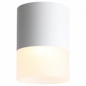 Накладной светильник ST-Luce Ottu ST100.542.15