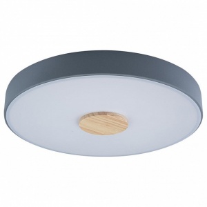 Накладной светильник Loft it Axel 2 10003/24 Grey