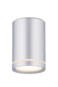 2027CN-A SSV (1/30) Светильник