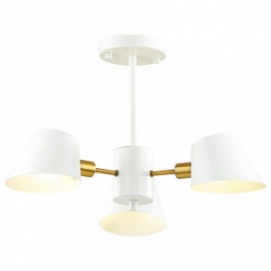 Люстра на штанге Lumion Kenia 4465/3C