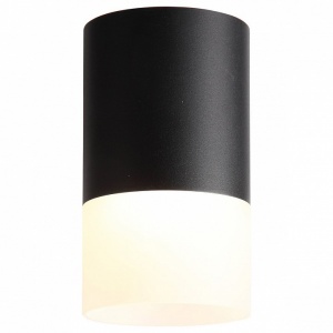 Накладной светильник ST-Luce Ottu ST100.442.05