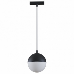 Подвесной светильник Maytoni Track lamps TR018-2-10W4K-B