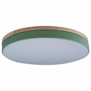 Накладной светильник Loft it Axel 10001/36 Green