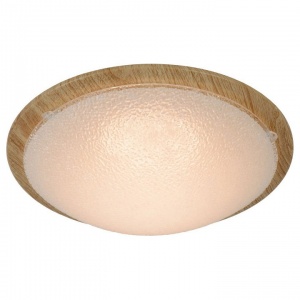 Накладной светильник Lucide Rune 79178/08/72