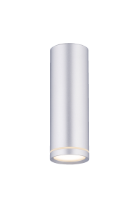 2027CN-B SSV (1/20) Светильник