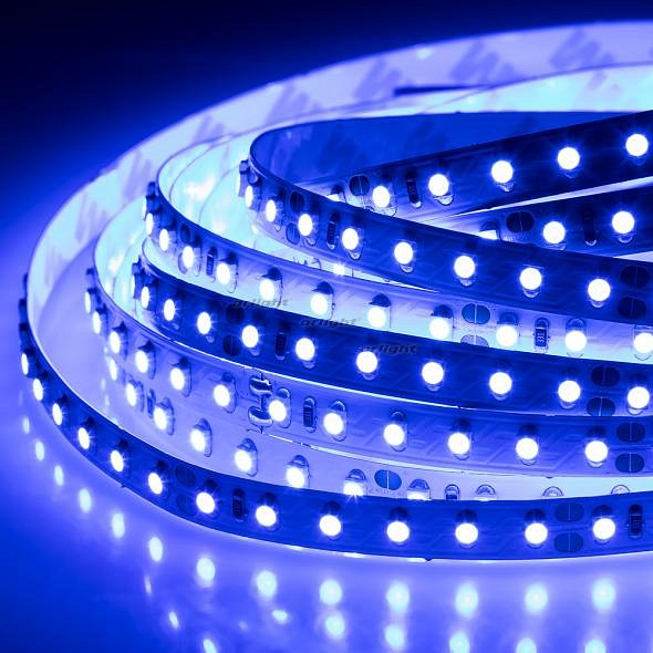 Лента светодиодная [5 м] Arlight RT 2-5000 24V Blue 2x (3528, 600 LED, LUX) 008783(1)